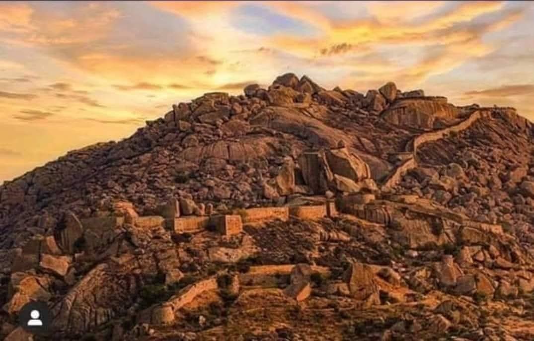 Meeta 🍁 tweet media