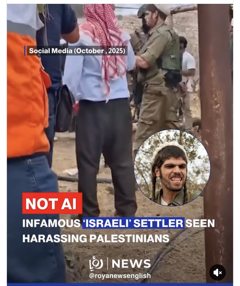 don blue tweet media