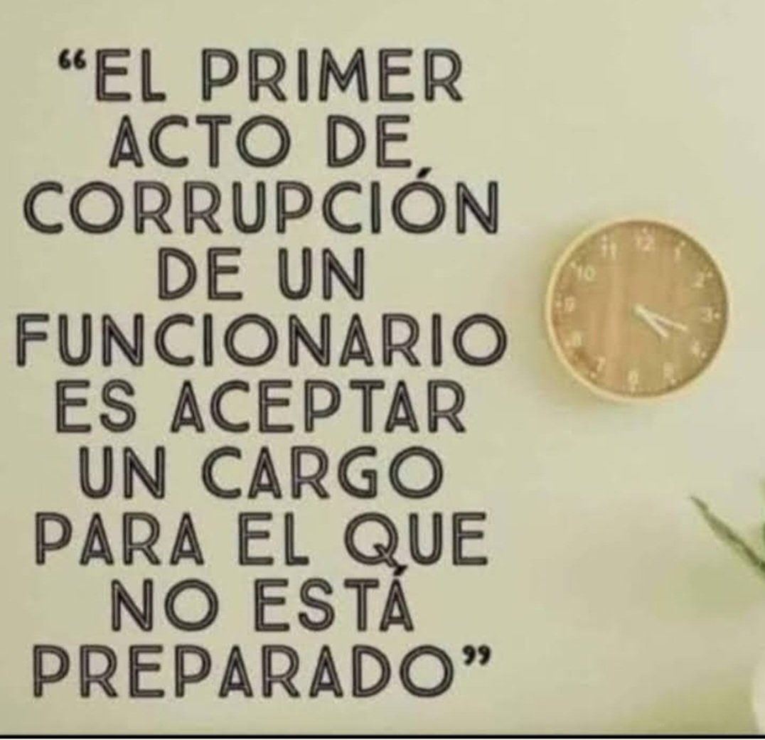 Sol sol 🌿🙋🌞🤗🇩🇪🇨🇱🌿 tweet media