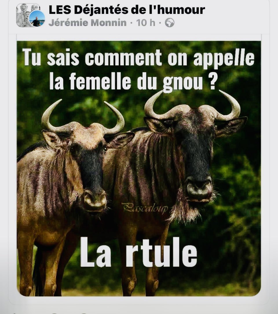 Sylvie Bert tweet media