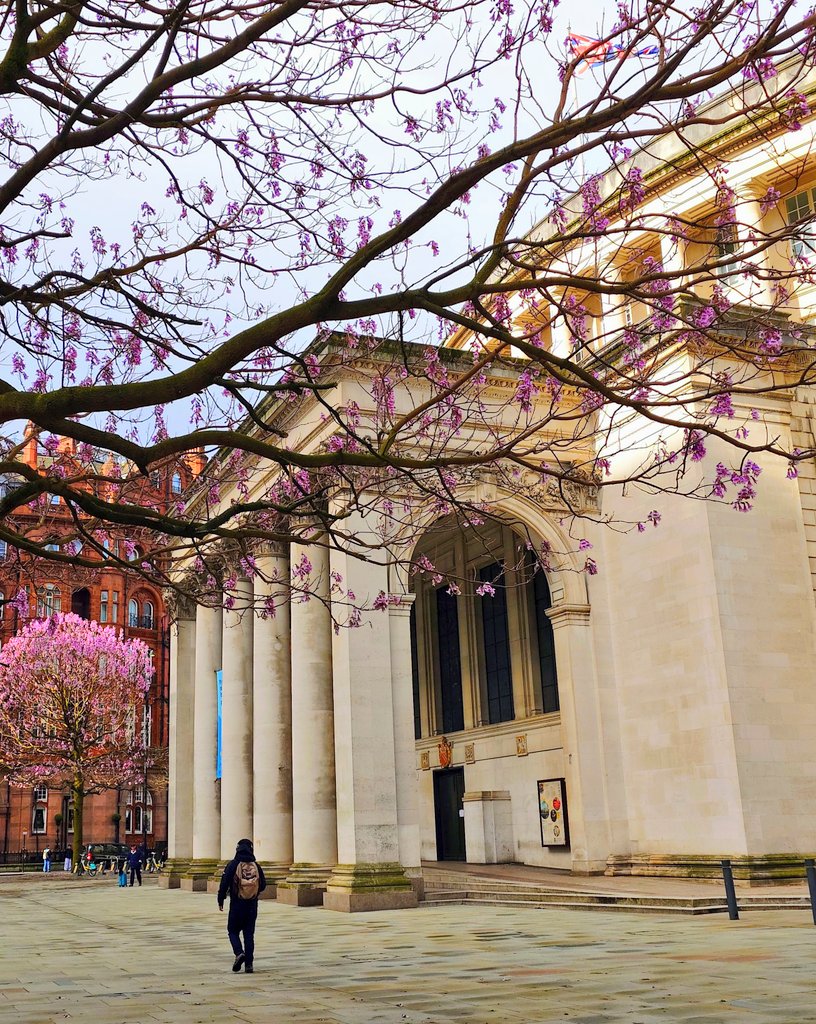 MonicaCrimmins's tweet image. Good morning Wednesday.  Midweek already.  St Peter's Square with the blossom this Spring 🌸 #Manchester