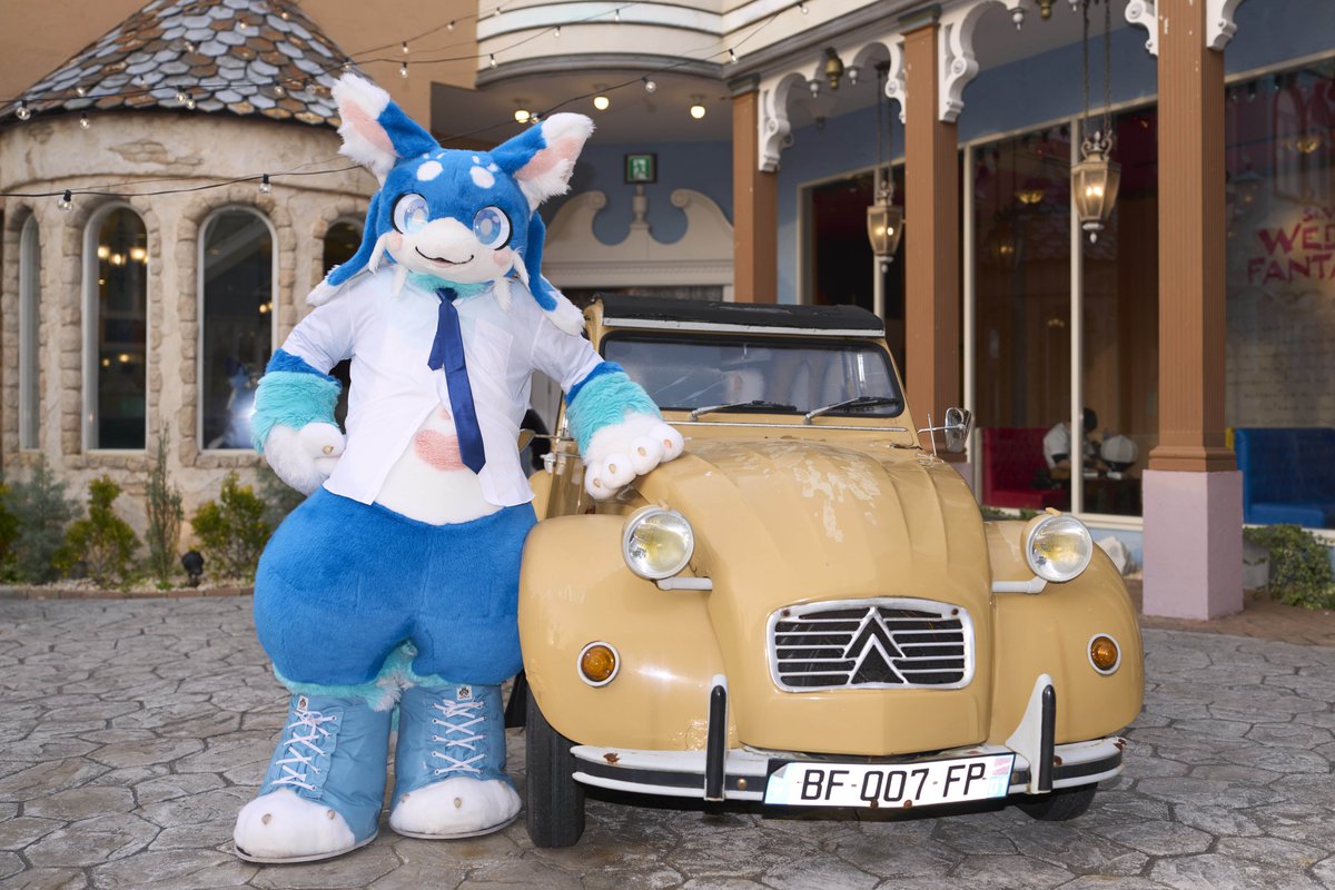 ハムねこ🍣 tweet media