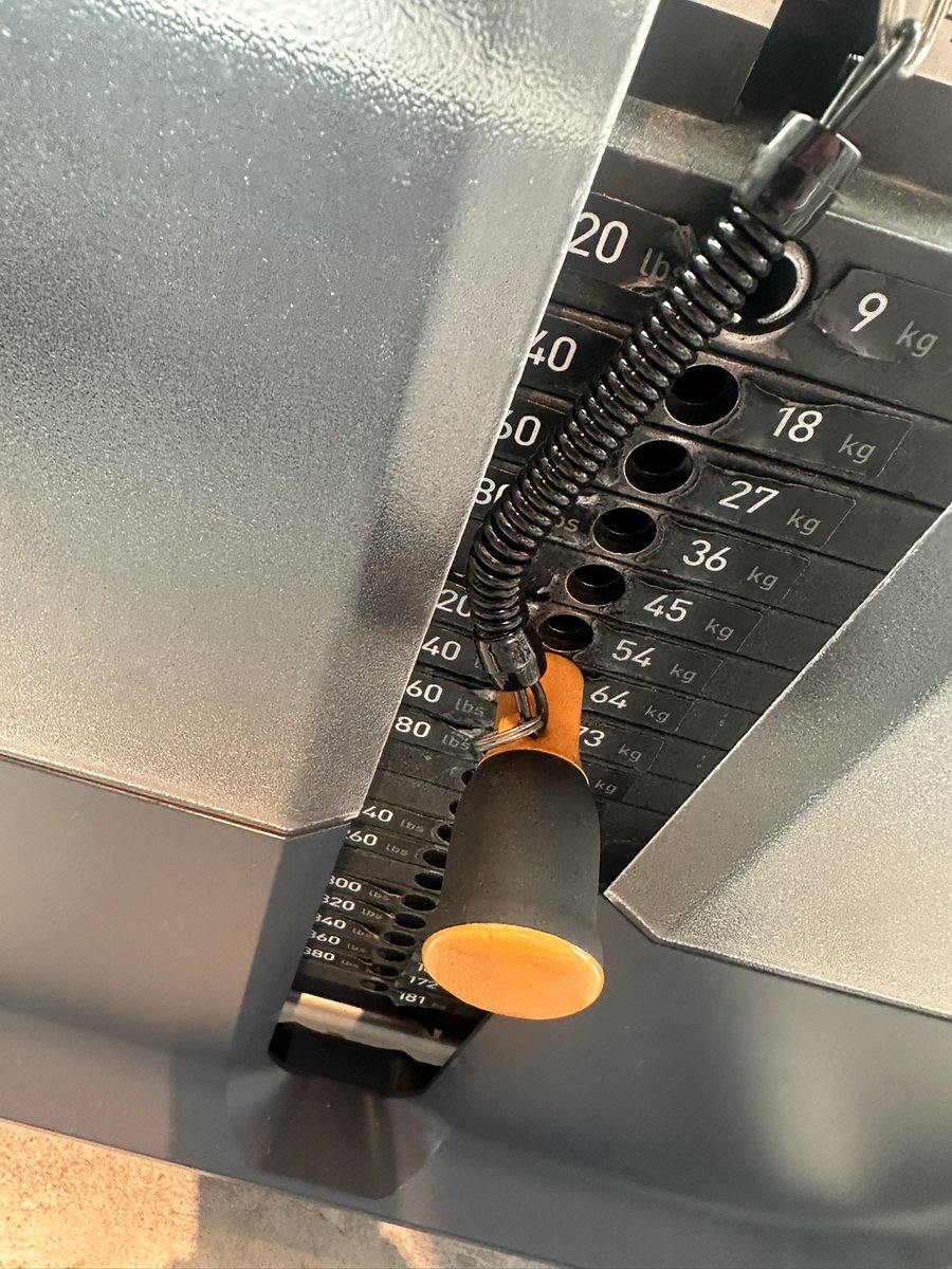 三浦麻美🎤🌸 tweet media