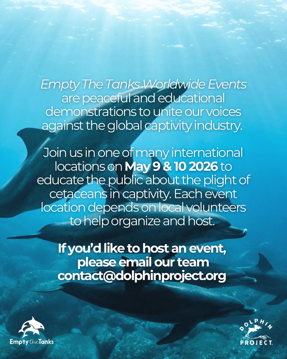 Dolphin Project tweet media