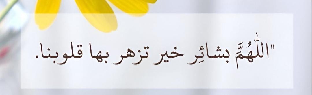 صمت الغروب 💜 tweet media