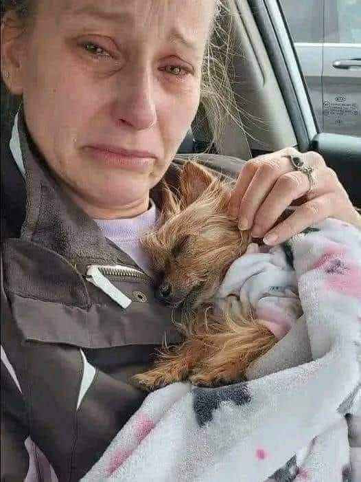 xuzin3sefh's tweet image. Today I lost my K9… a part of my heart is gone, but no one said RIP 🪖🥺😭