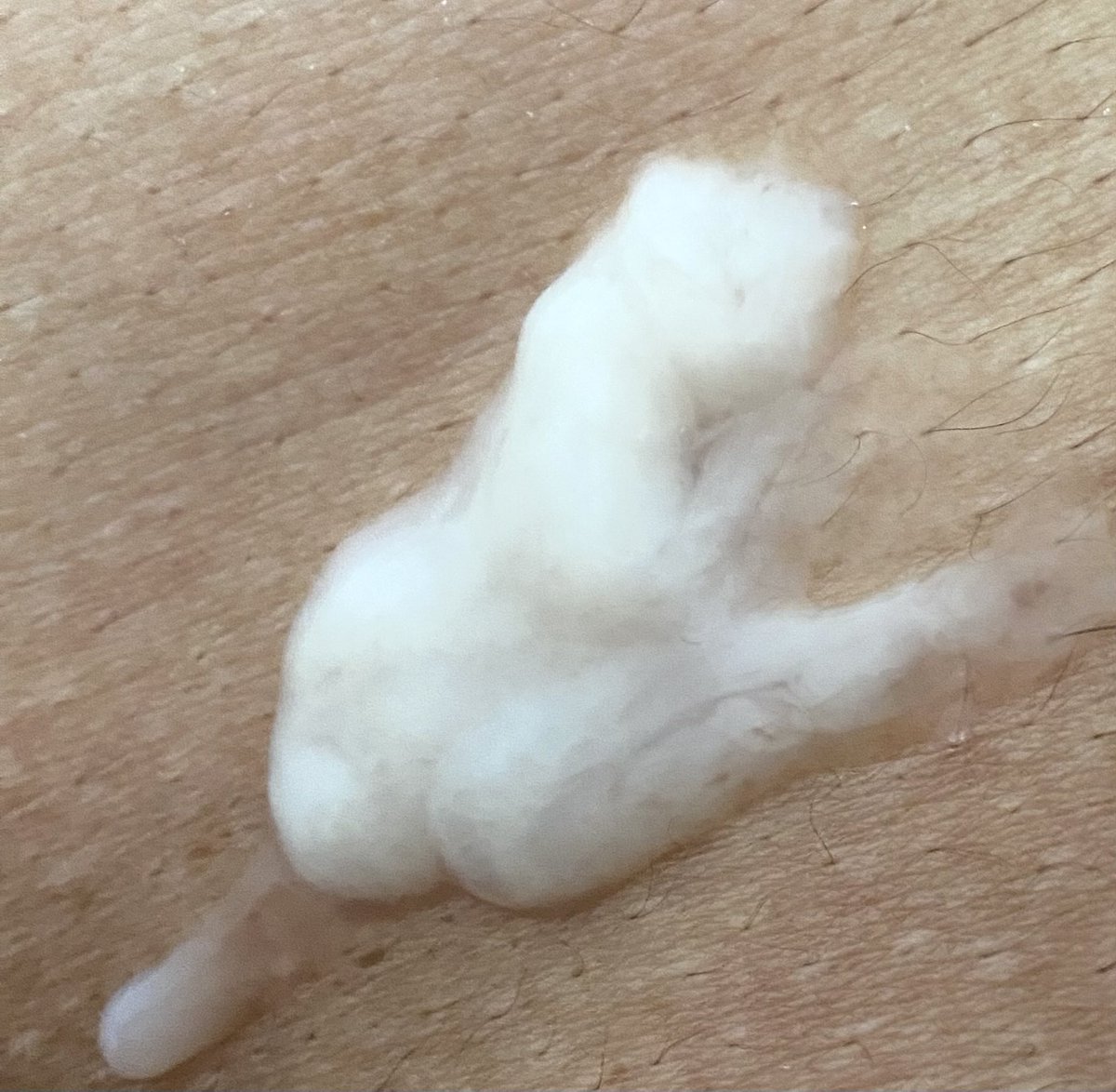 ゆぅ🦥 tweet media