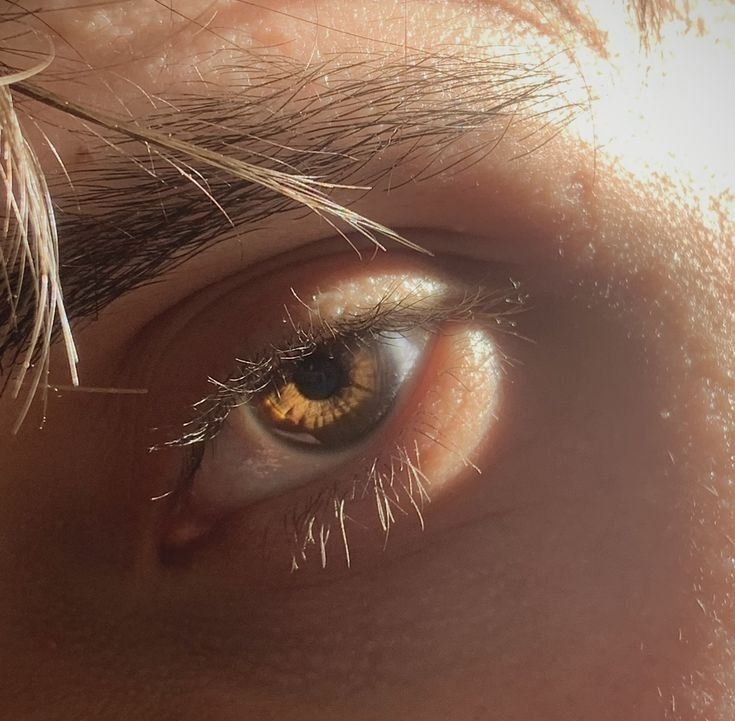 kali ݁ ˖Ი𐑼⋆ tweet media