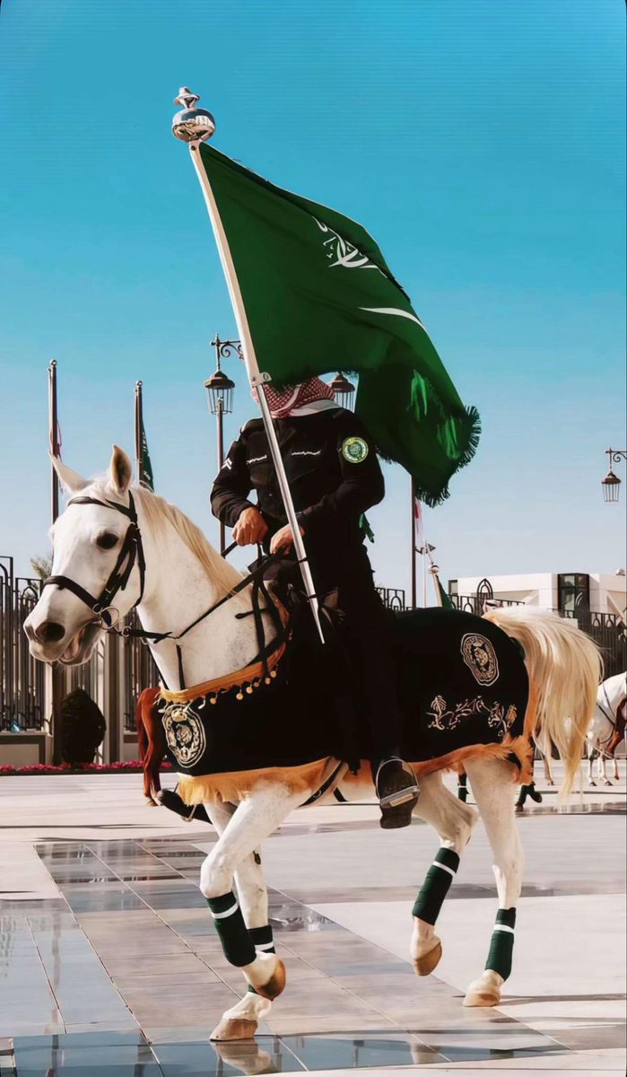 ✨Abdullah Saad✨ tweet media