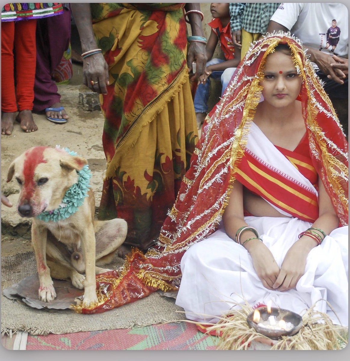 don blue tweet media