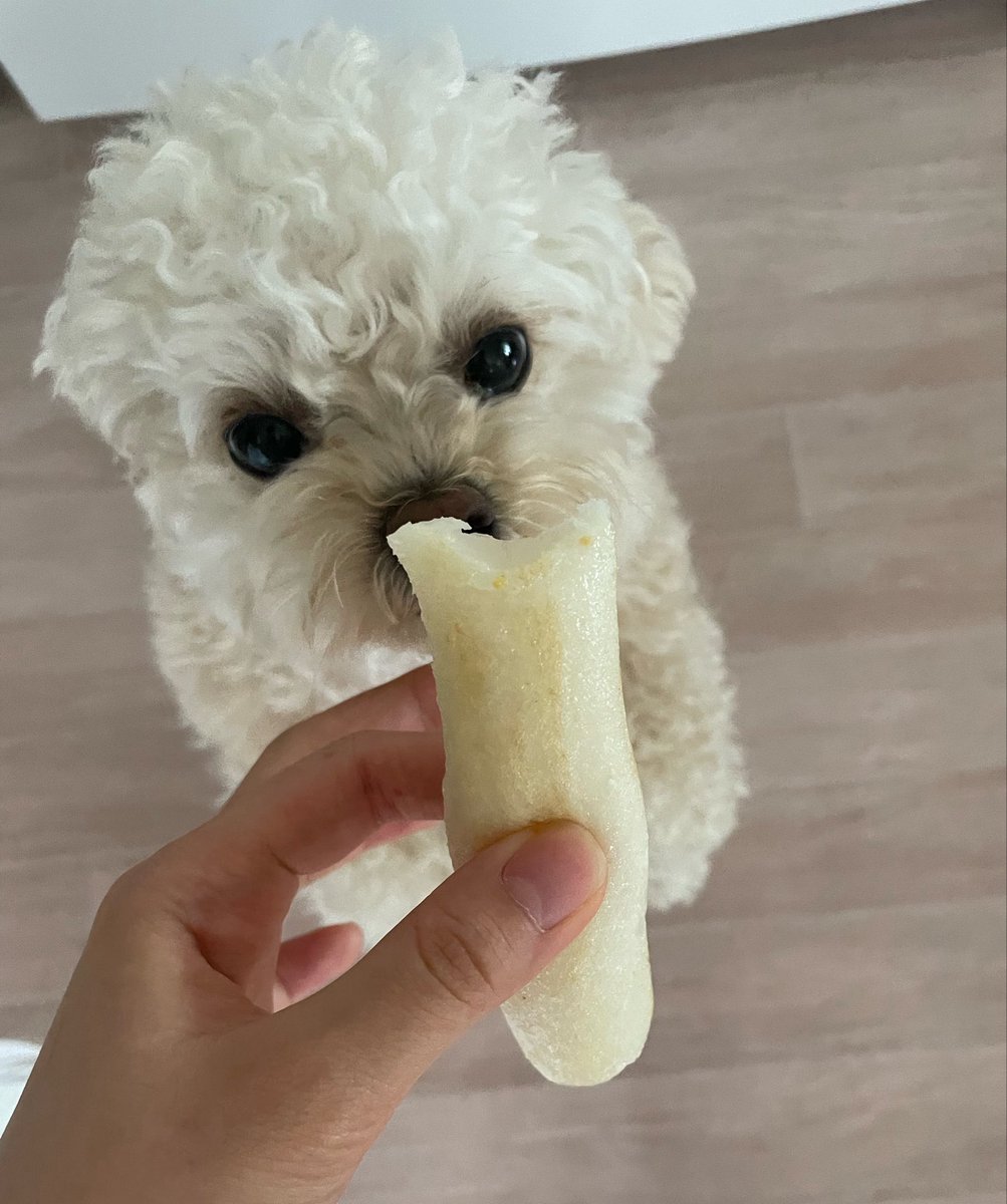 최밥풀 tweet media