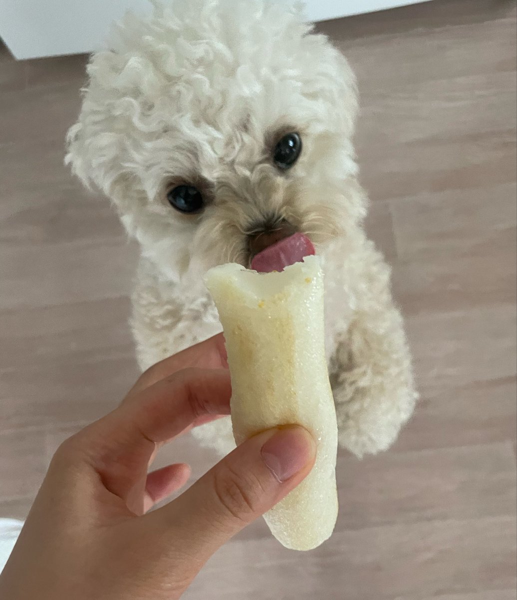 최밥풀 tweet media