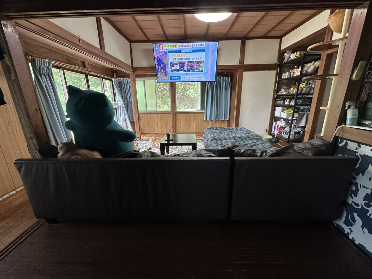 松岡千晶@八丈島に移住しました tweet media