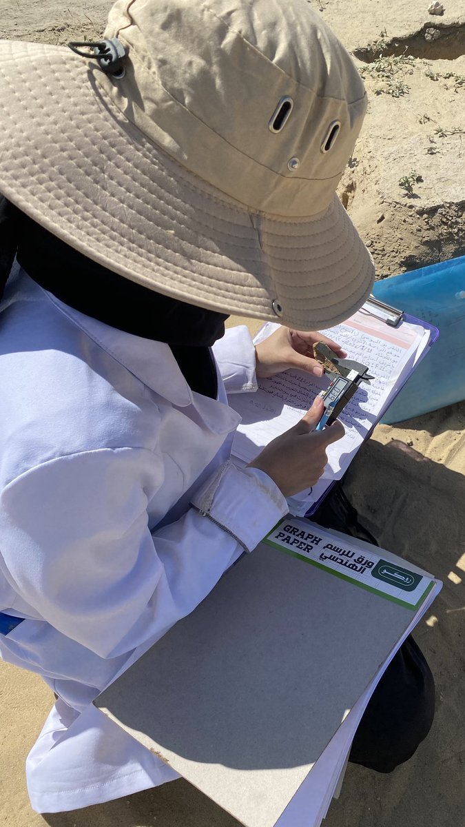 Wed Al Otaibi tweet media