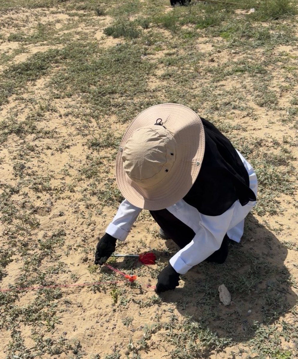 Wed Al Otaibi tweet media