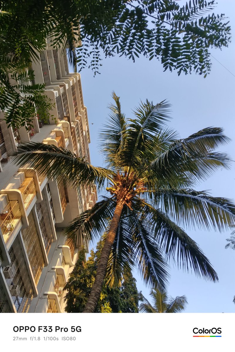 Tech Singh tweet media