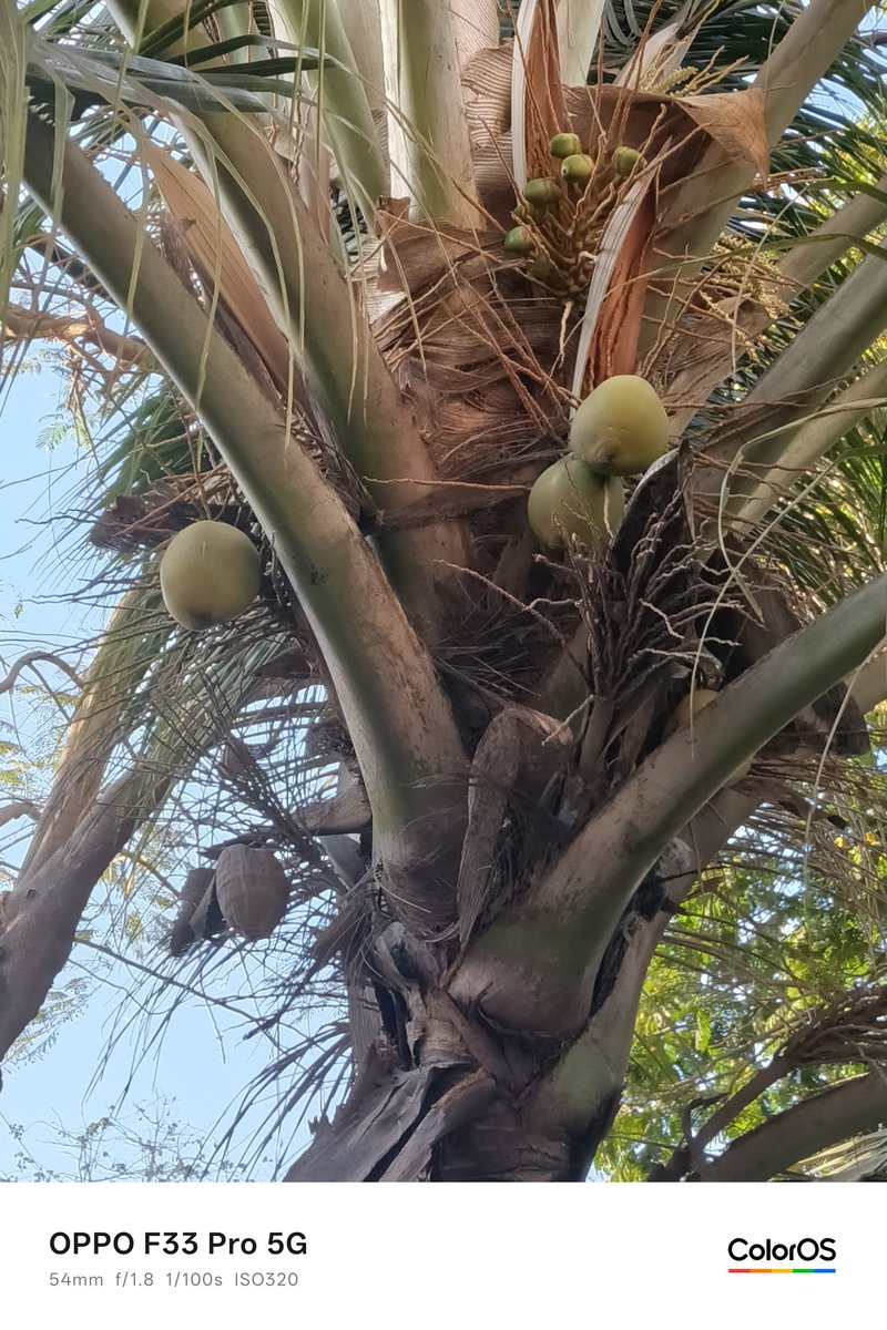 Tech Singh tweet media