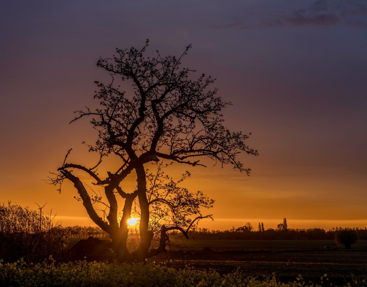 john oomen_foto tweet media