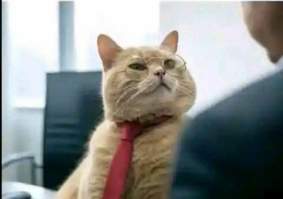 Joel Jirani tweet media