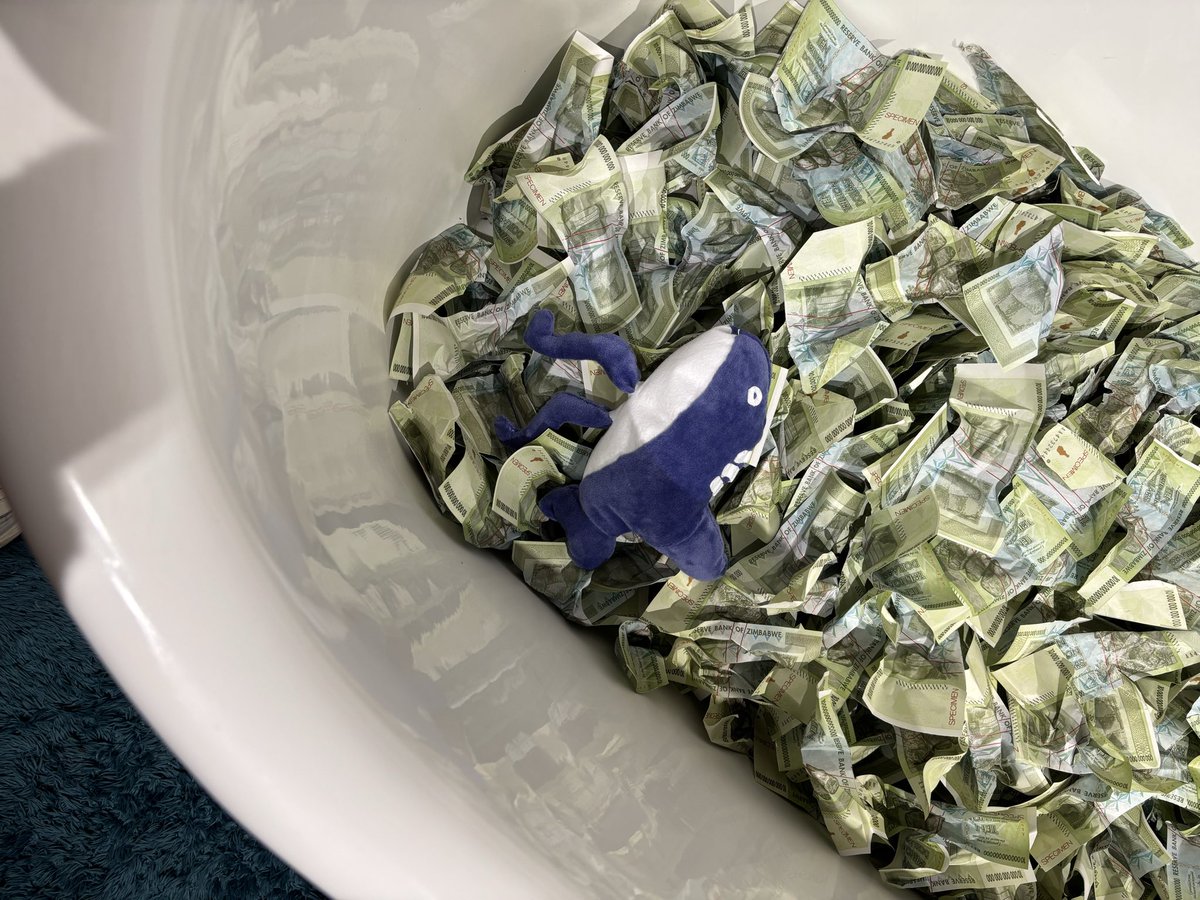 四君 (@youkimi246) on Twitter photo 