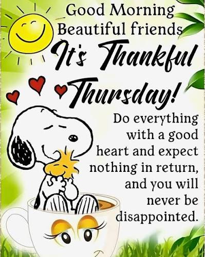 The thumb meowprentice, Lucio. 🐈 tweet media