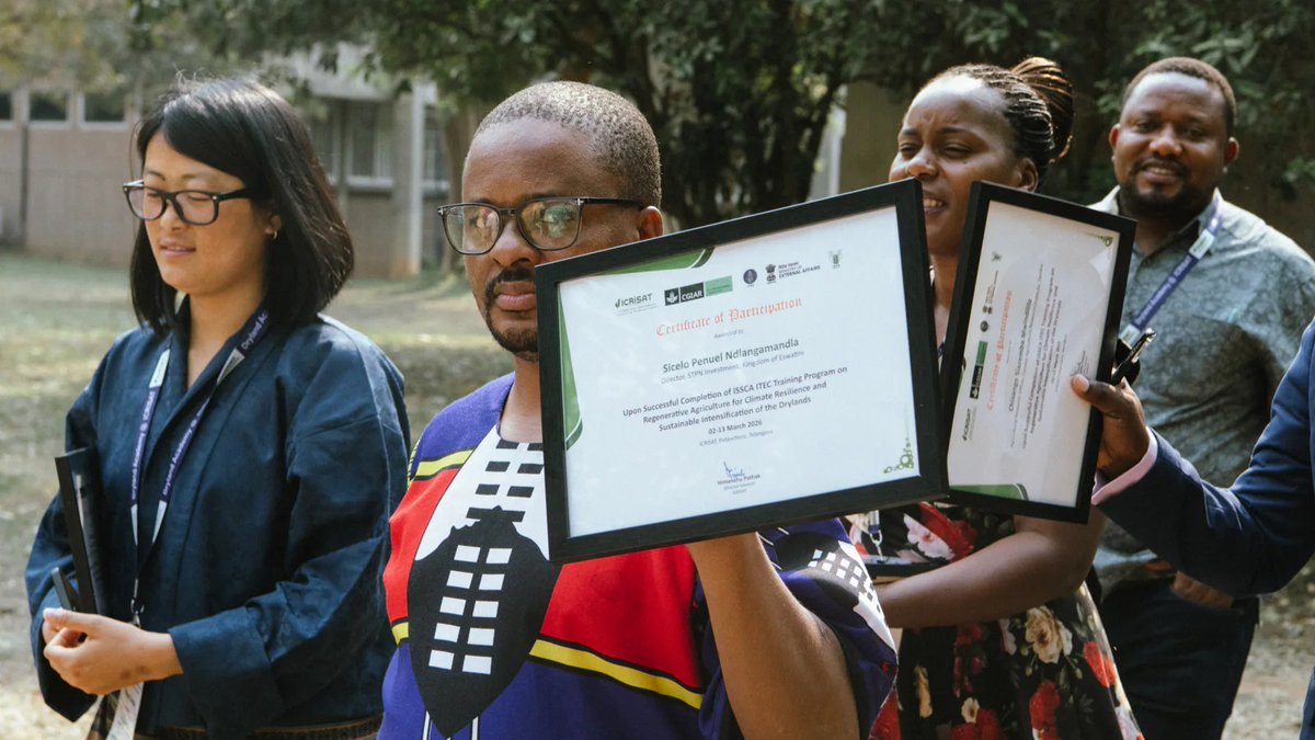 ICRISAT's tweet image. #News #PressRelease

ICRISAT Strengthens South–South Collaboration through ISSCA and ITEC Global Training Programs

Four specialized courses equip global practitioners with science-based regenerative agriculture, digital technologies, crop improvement, and seed systems. The