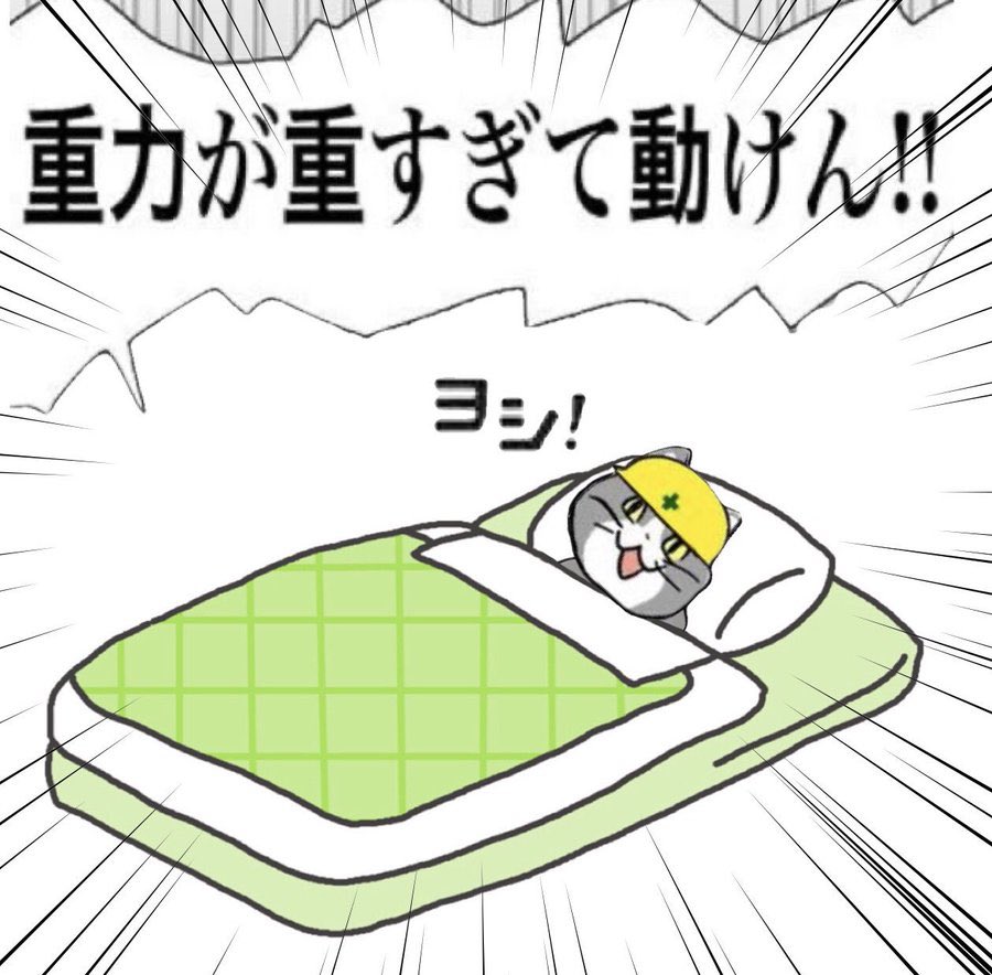 クロネコよしべえ tweet media