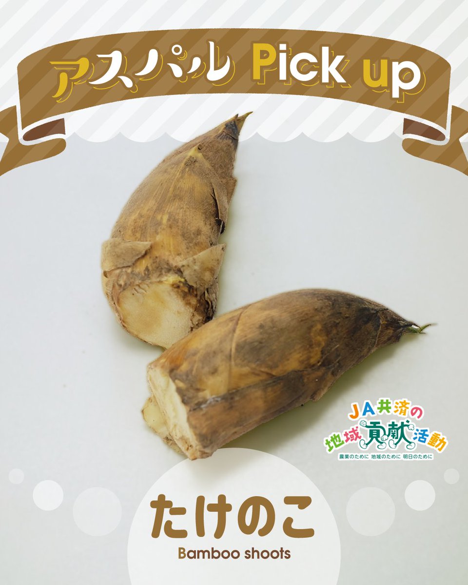 まああ(＊´-`)値下げします♡　GW収穫たけのこ 裏側動画公開！！】タケノコ収穫完全版！曲がったタケノコに…悪戦苦闘