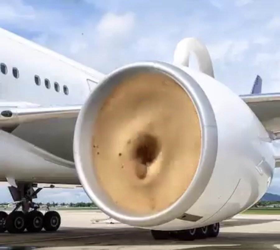 Patapuf nemusí být jen kocour tweet media