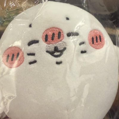 すこやか生活 (@nagano_chikawa) / Posts / X