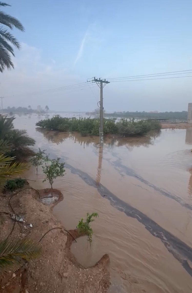 عبدالله المطرود tweet media
