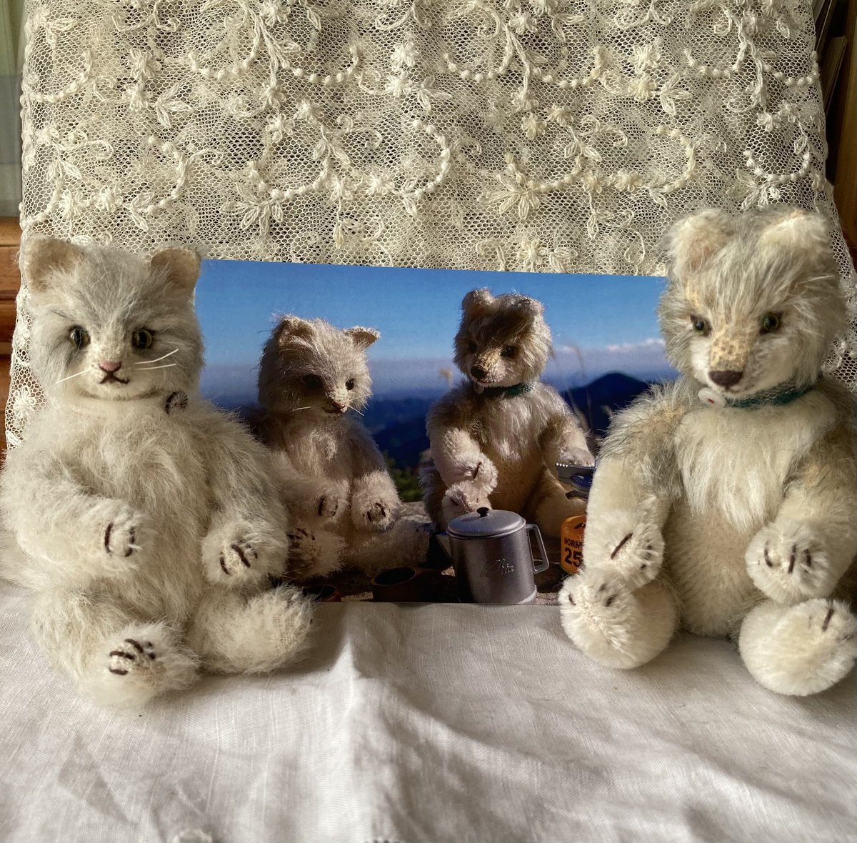 銀色どんぐり tweet media