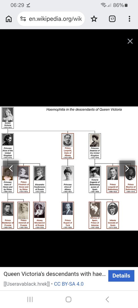 LabLab15460's tweet photo. I was just wondering if this haemophilia gene was still around. Would you have treated me as a haemophiliac victim any better? @cabinetofficeuk
@IBCA_UK https://t.co/Do4mJAGcxX