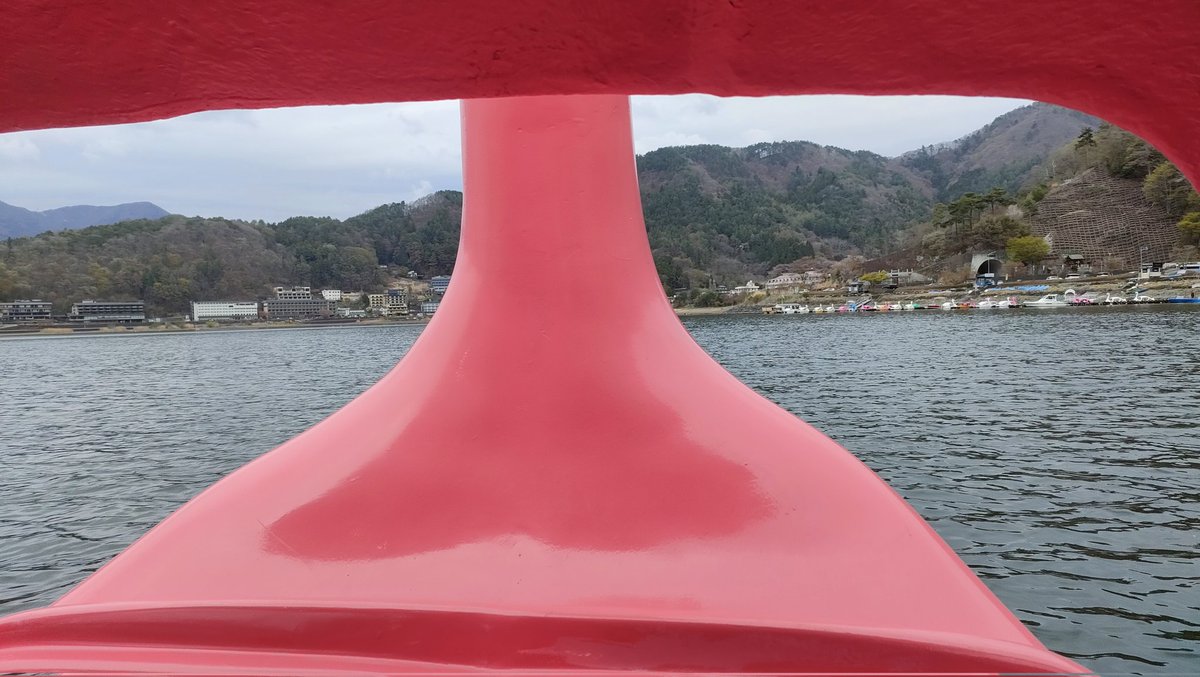 P_los_K's tweet photo. アヒルからの目線 https://t.co/hYc1dqXQOZ