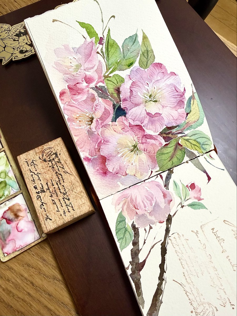 旅行で花の見頃を逃してしまったから、今取り戻そう。