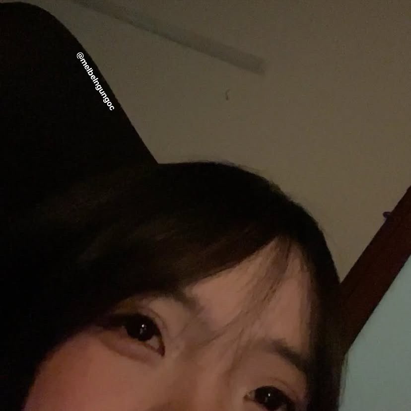 Thùy Chi tweet media