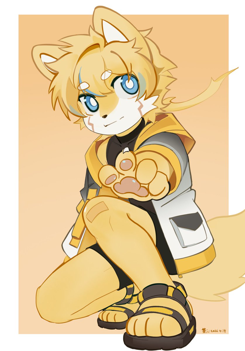 茶狸子 tweet media