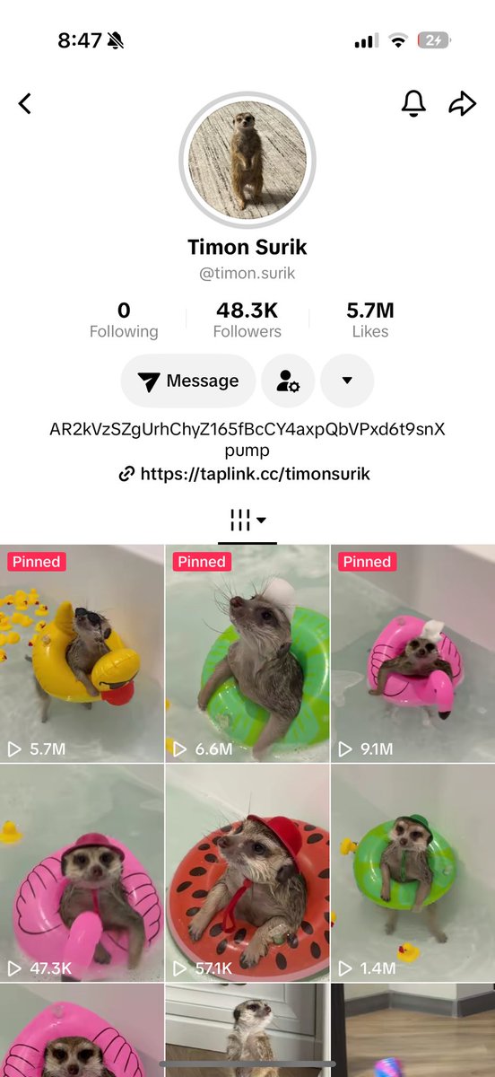 Timon Surik tweet media