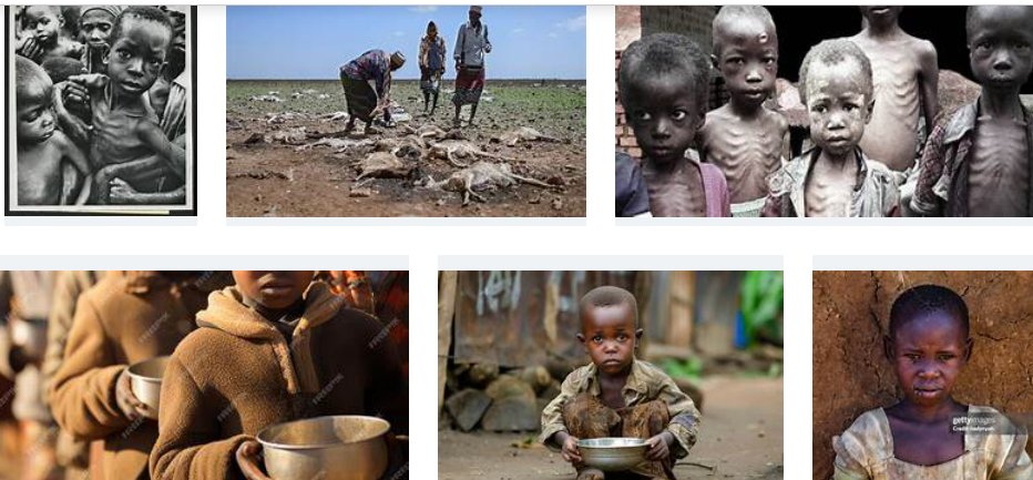 TheOne&Only tweet media