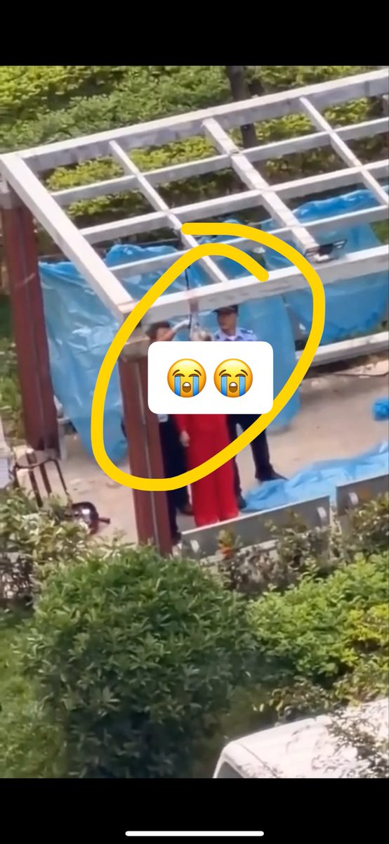 中国悲剧档案 tweet media