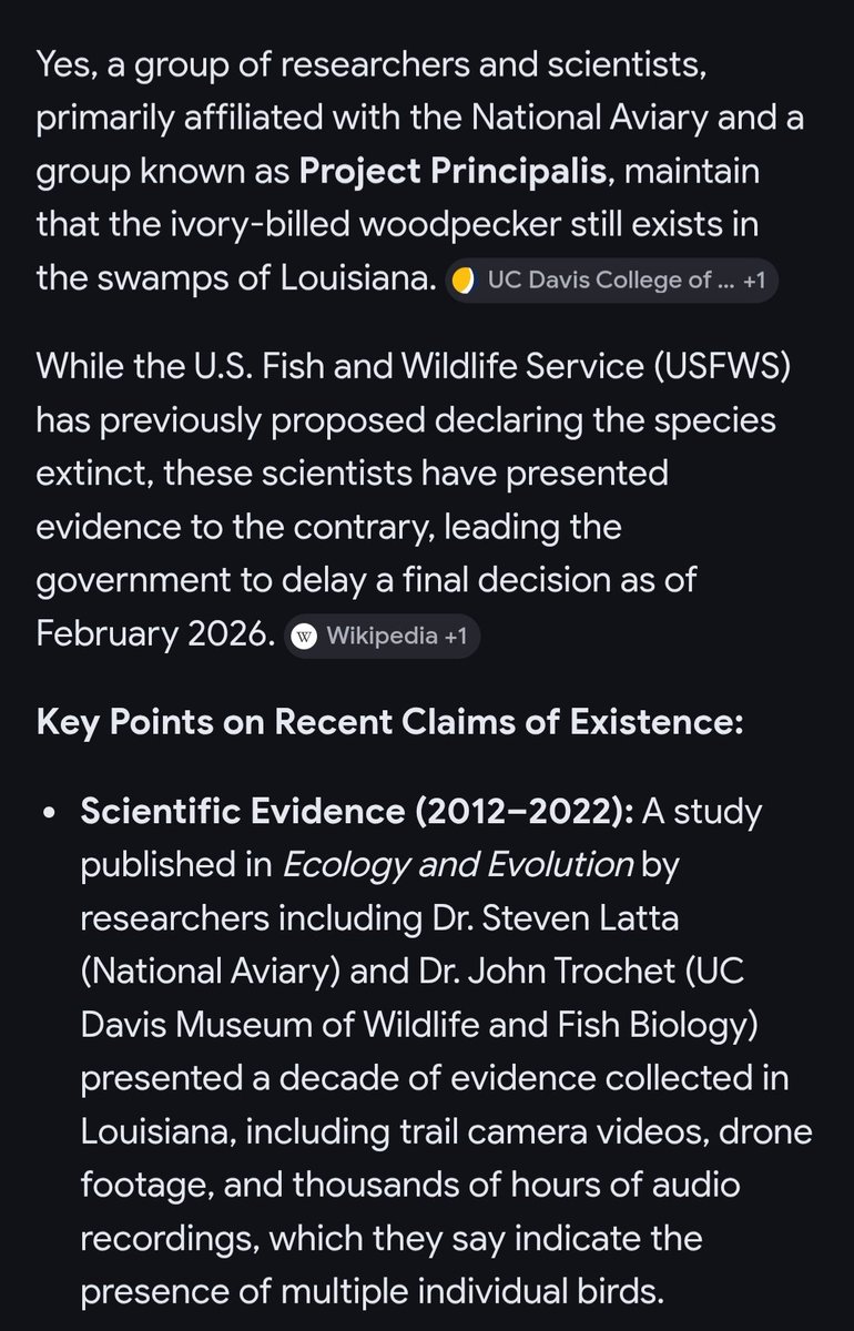 Donate blankets/towels to🐾humane society, please. tweet media