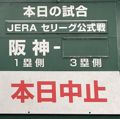 雅🐯っキー🐾 tweet media