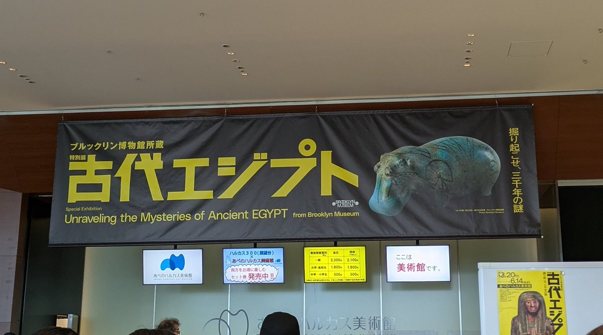 ロボ子展 tweet media