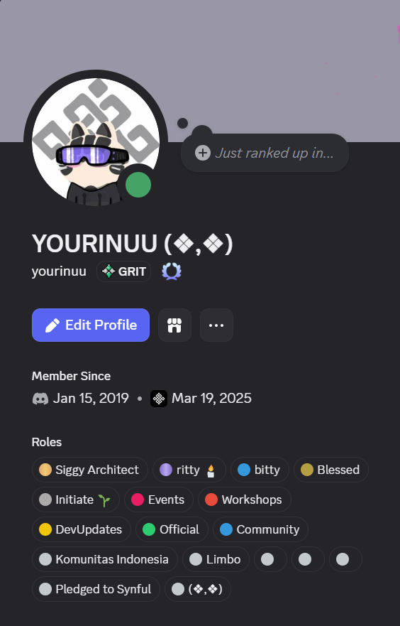 yourinuu tweet media