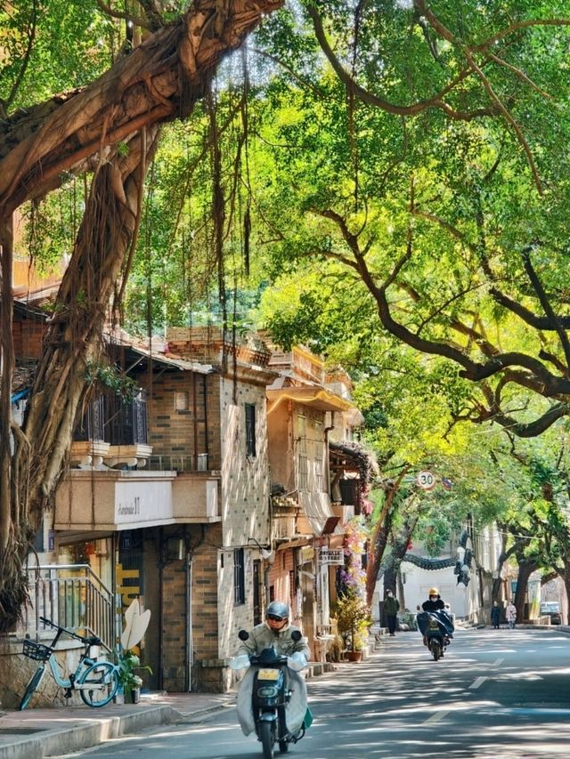 HolaFujian's tweet image. Yantaishan is an old district filled with a blend of European and Chinese-style houses, quiet streets, and picturesque corners perfect for photography. #RefreshingFujian #Scenery For more information, visit: m.tripadvisor.cn/webapp/toplist…