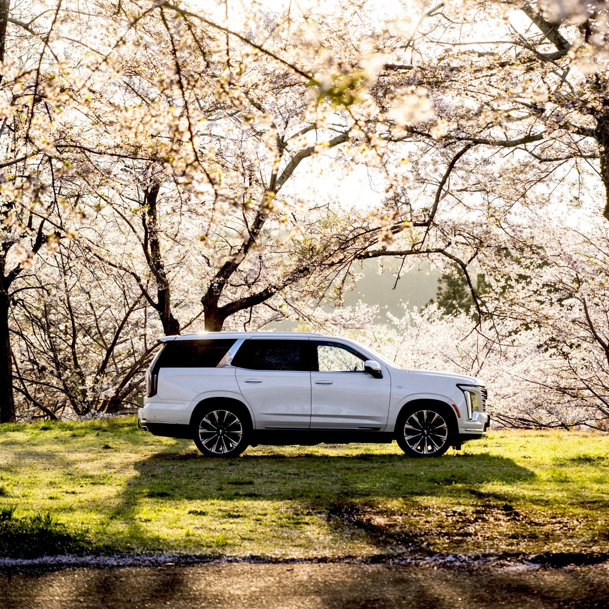 キャデラック (Cadillac JP) tweet media