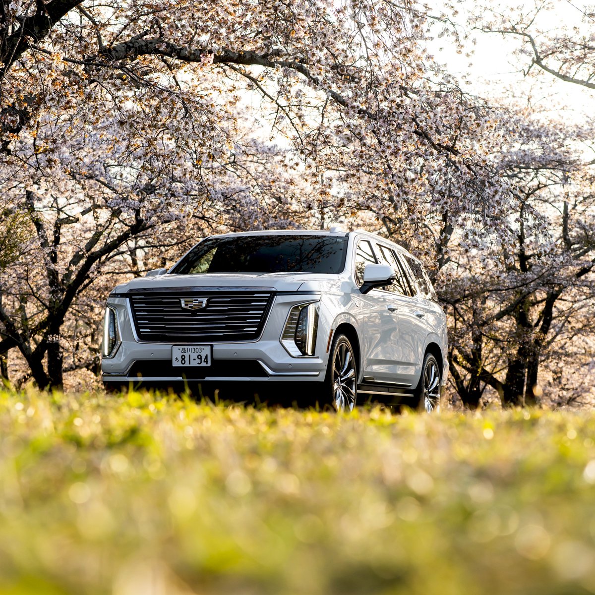 キャデラック (Cadillac JP) tweet media