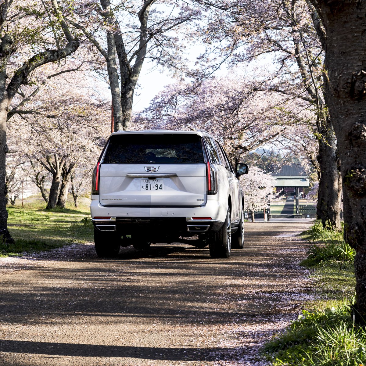 キャデラック (Cadillac JP) tweet media