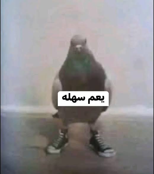 مستني أعيش tweet media