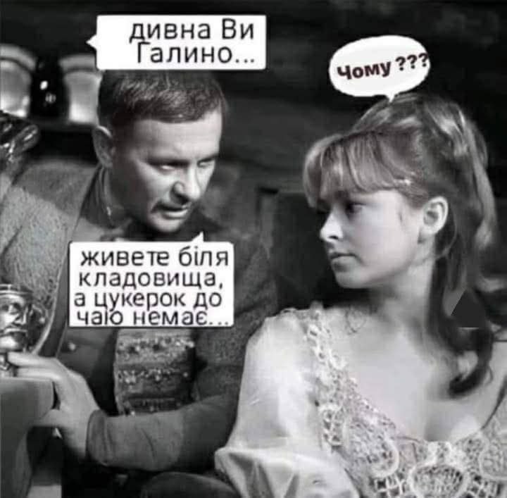 Барбара Крайн tweet media